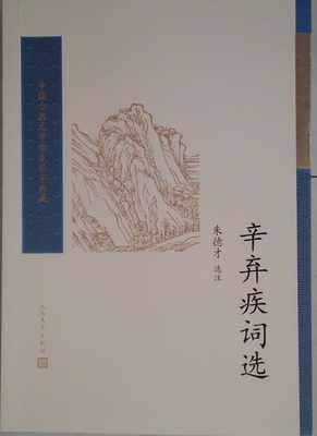 新华书店正版辛弃疾词选/中国古典文学读本丛书典藏 朱德才 人民文学出版社 中国古典文学作品 图书籍