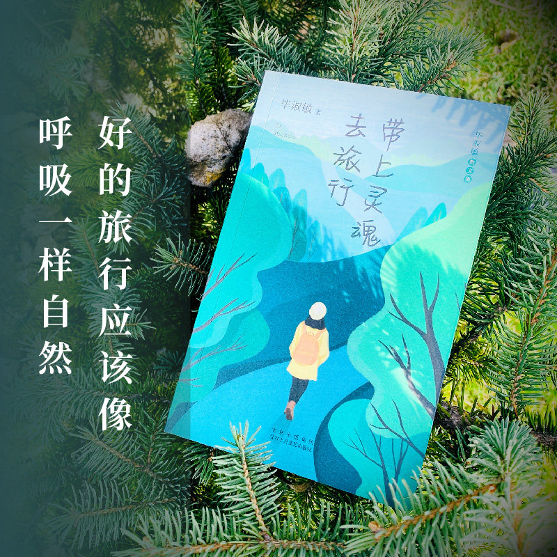 带上灵魂去旅行 毕淑敏散文集 读毕淑敏发现旅行的真正意义 毕淑敏式