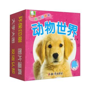 宝宝早教启蒙记忆卡亲子互动识字卡108片