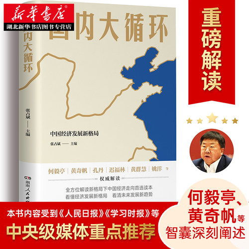正版 国内大循环 中国经济发展新格局 何毅亭、黄奇帆、孔丹、迟福林、姚洋等权威解读 全方位阐述新发展格局下中国经济走向