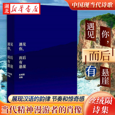 遇见你而后有悬崖丝绒陨诗集