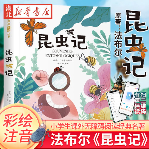 昆虫记法布尔正版彩绘注音版