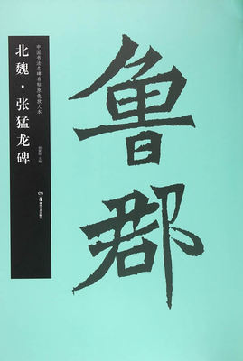 新华书店正版北魏 张猛龙碑（中国书法名碑名帖原色放大本） 胡紫桂 湖南美术出版社图书籍