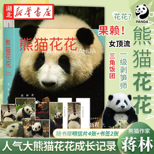 赠书签+明信片】熊猫花花 蒋林书写熊猫花花的家族和花花成长历程附有丰富的熊猫知识科普大熊猫的生物学特点和生活习性熊猫科普书