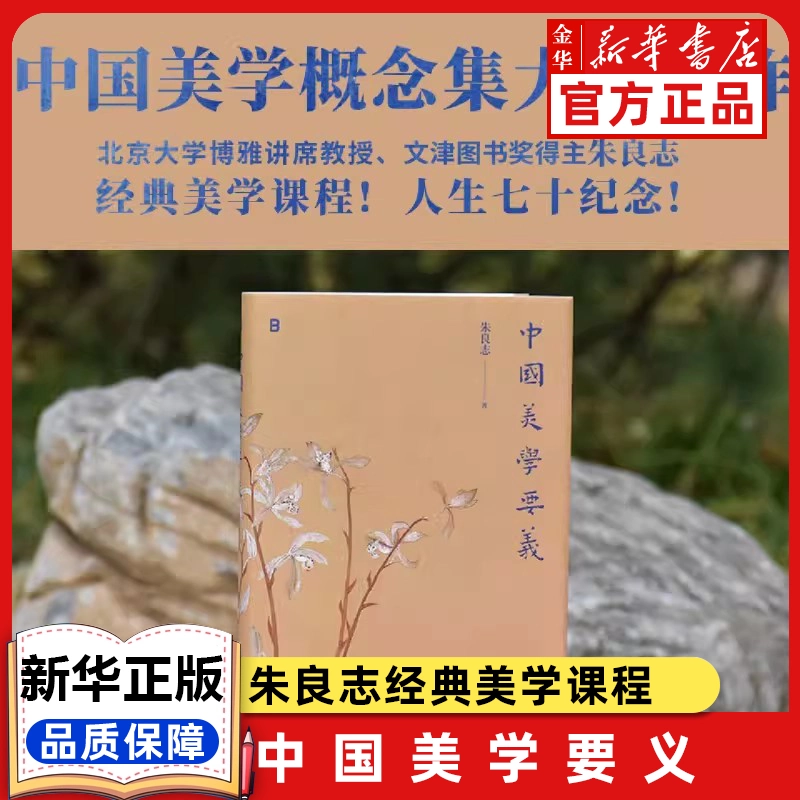 中国美学要义 朱良志著 广西师范大学出版社 北大课堂实录 九大美学核心概念 大众入门经典必读 生命安顿之学打通书画哲学审美壁垒,书籍/杂志/报纸,艺术理论（新）,淘宝优惠券,粉丝福利购,淘宝优惠卷