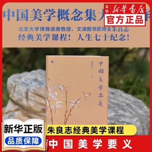 中国美学要义 朱良志著 广西师范大学出版社 北大课堂实录 九大美学核心概念 大众入门经典必读 生命安顿之学打通书画哲学审美壁垒