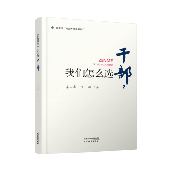 桑玉成,丁斌 文学 中国现当代随笔 新华书店正版图