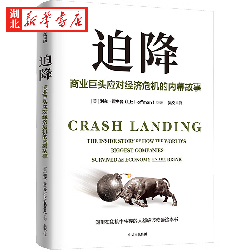 迫降利兹·霍夫曼著正版