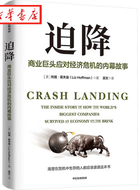 迫降利兹·霍夫曼著正版