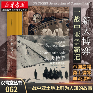 新大博弈：一战中亚争霸记 展示了“一战”时期在中亚土地上发生的鲜为人知的故事 大英帝国的存续 同盟国与协约国竞相出手