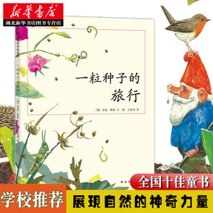 正版 旅行绘本童书7 一粒种子 12岁小学生课外阅读书籍图画书儿童课外故事书文学绘本爱心树童书德国儿童图书Luchs大奖 包邮