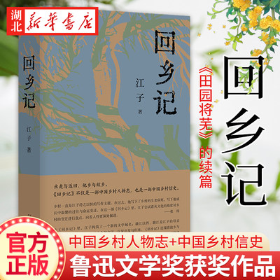 现货速发 回乡记 江子著《田园将芜》的续篇 鲁迅文学奖作品 现代农民生活故事全面田野式考察农民进城经典乡土的历史小说新华正版