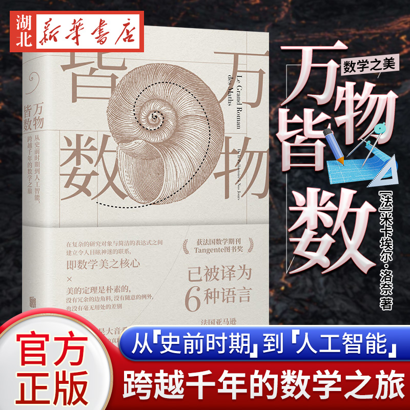 万物皆数从史前时期到人工智能