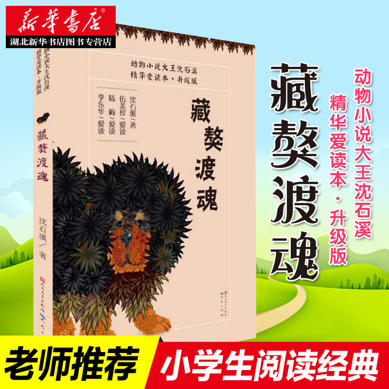 新华书店正版 藏獒渡魂(升级版) 沈石溪 天天出版社 儿童文学 图书籍