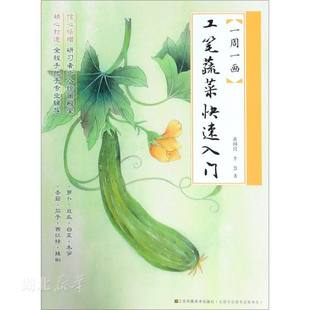 新华书店正版 一周一画-工笔蔬果快速入门 蒋国良/李慧著零基础初学者工笔画的用笔写形构图等知识学习图书籍 江苏凤凰美术出版社