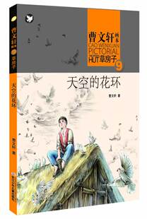 【湖北新华书店】正版畅销 玉汝于成——曹文轩画本—草房子天空的花环 儿童书籍 6-12周岁 书籍 儿童故事书 励志书