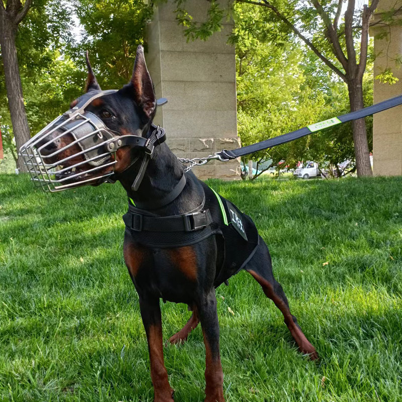 马犬嘴套不锈钢牛皮金毛训练训狗口笼德牧实战防护大型犬训犬