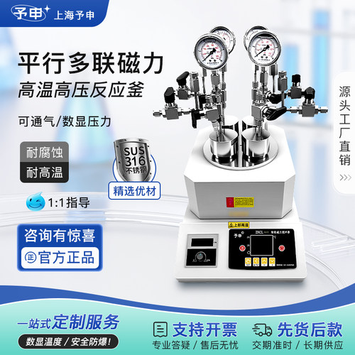 多联平行磁力搅拌高温高压反应釜