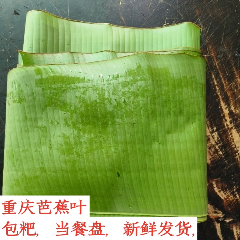 重庆野生非广西芭蕉叶新鲜叶菜当餐盘包粑粽子袋装产地直销可批发