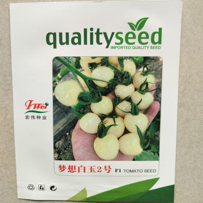 白色樱桃番茄梦想白玉2号