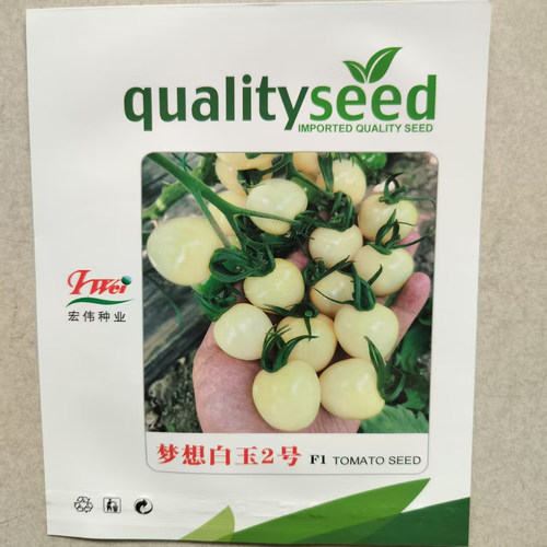 白色樱桃番茄梦想白玉2号