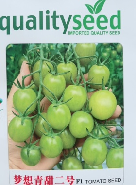梦想青甜二号 绿色口感小番茄