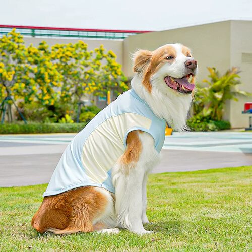 狗狗凉凉衣夏天薄款宠物比熊柴犬边牧背心透气冰感降温防晒衣服