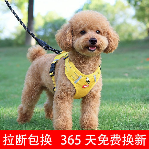 背心式狗狗牵引绳中小型犬柴犬柯基犬专用幼犬可调节胸背带遛狗绳