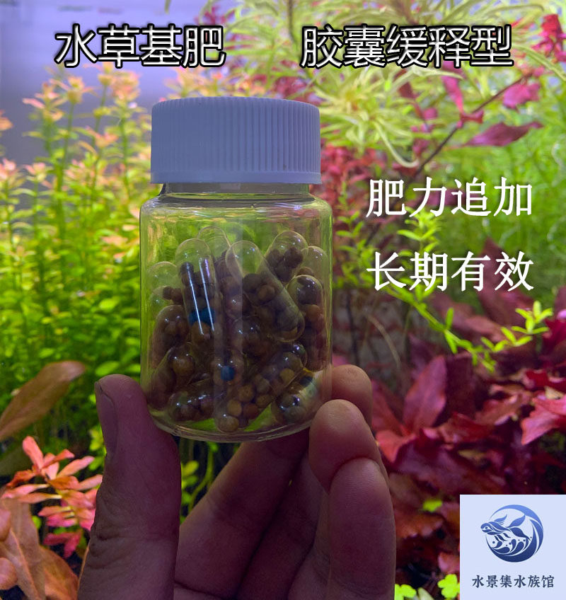 水草基肥 水草自制浓缩型基肥配合液肥使用 水草根肥 胶囊缓释肥