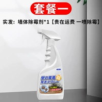 Плесень поверхности стены*1 [дорогой груз опрыскивается плесенью]