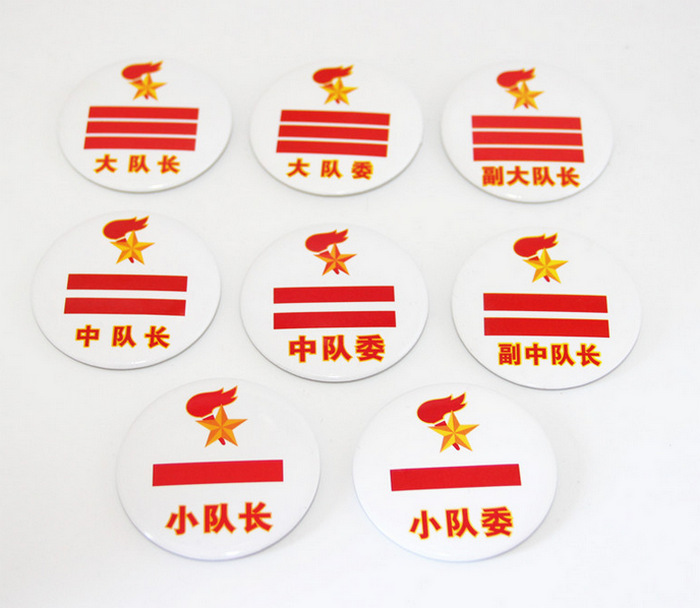 少先队干部标志臂章小队长中队长大队长小中队委大队委标志队徽