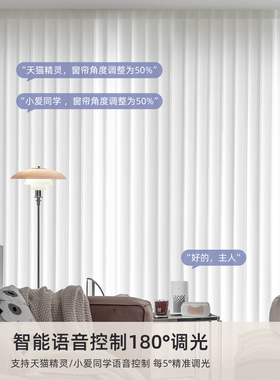 Moana电动梦想窗帘智能垂直窗帘客厅阳台办公室遮光休闲垂直百叶