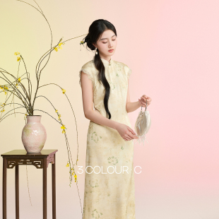 新中式 三彩 新款 2026春季 连衣裙花边拼接长裙C 风荷浮光