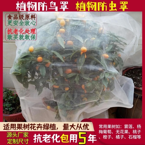 果树防虫防鸟网罩加密大棚蔬菜果园防蚊虫果蝇针蜂白粉虱尼龙纱网