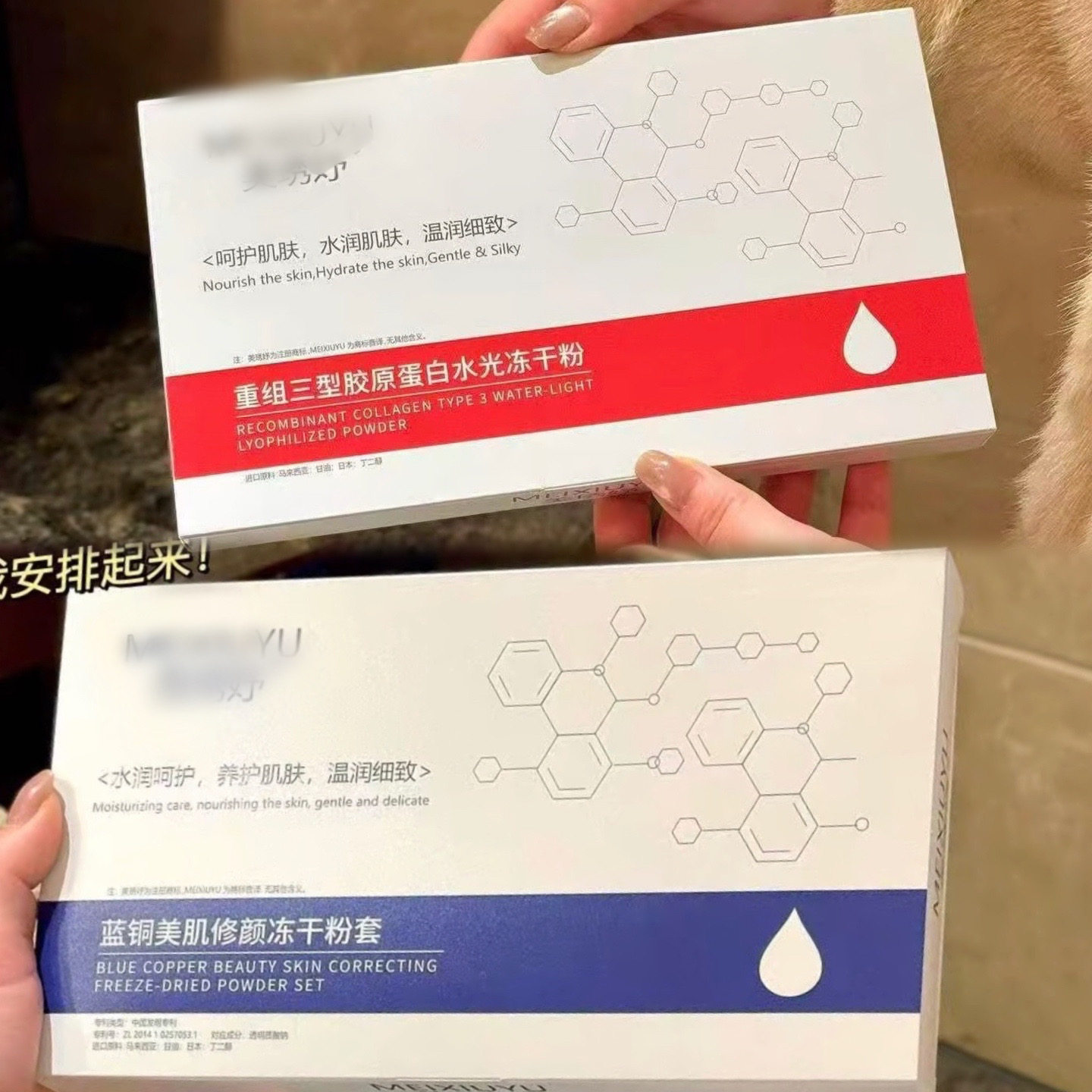 三型胶原蛋白水光冻干粉套盒蓝铜肽套盒保湿补水紧致抗皱淡纹修护