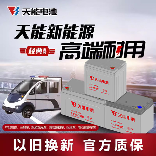 天能经典系列新能源铅酸电池洗地机叉车电瓶观光车三轮电动车电池