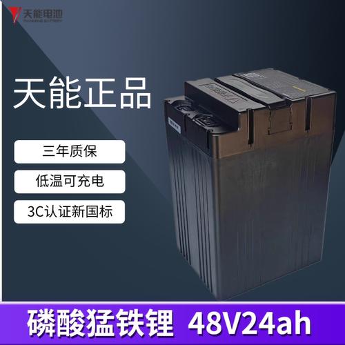 天能48v24ah电动车锂电