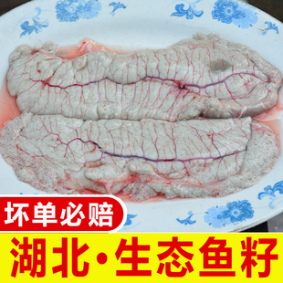 湖北鱼籽10斤商用20斤新鲜鱼蛋现杀冰鲜鱼卵鱼泡鲜活鱼子鲈鲤鱼杂