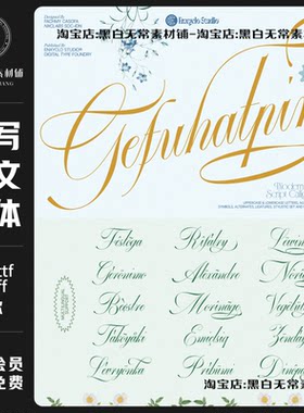 浪漫优雅精致婚礼品牌logo标题排版连笔手写花体英文西文字体素材