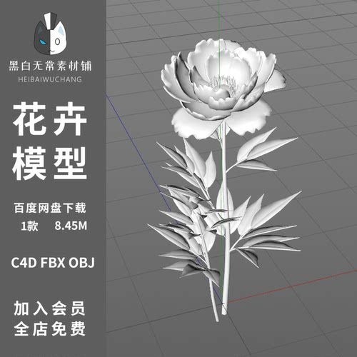 黑白无常植物花卉鲜花白膜模型C4D/FBX/OBJ格式三维立体建模素材
