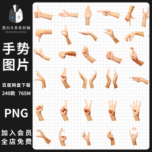 人物手部动作手势姿势手持剪贴画拼贴画png免扣平面美工设计素材