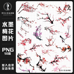 中式古典中国风腊梅古风水墨画梅花免扣图片手账美工设计素材png