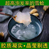 长白山雪蛤油正品 干货雪哈100g东北林蛙油蛤士蟆木瓜炖雪蛤膏联体