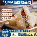 东北雪蛤油特级林蛙买20g送20g优质联体油足龄足干高山雪蛤