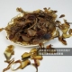 鹿茸全蜡片从残片15克正品 长白山鹿茸碎片干片男泡酒药材鹿茸腊片