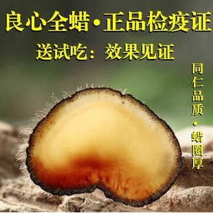 梅花鹿鹿茸片全蜡片东北长白山鹿茸全腊片干片正品 泡酒中药材10g