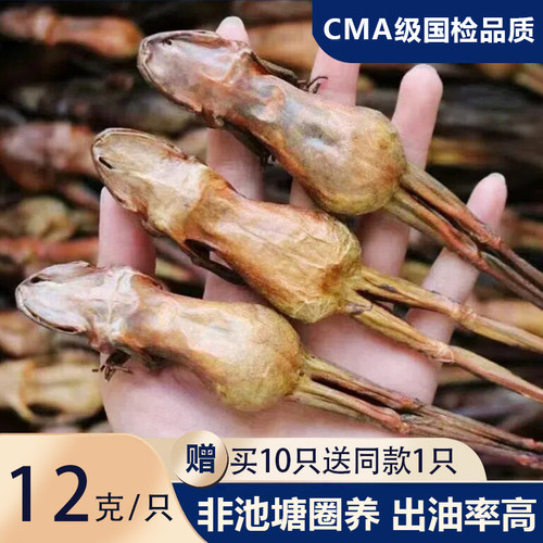 整只雪蛤干林蛙干买10送1送同款