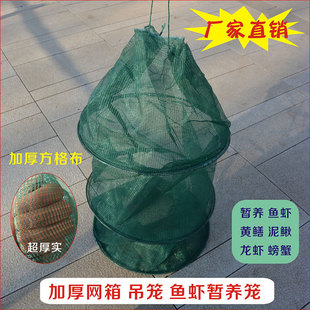 【养殖鱼虾笼】暂养龙虾螃蟹加厚型鱼护吊笼折叠圆形网箱养鱼虾网