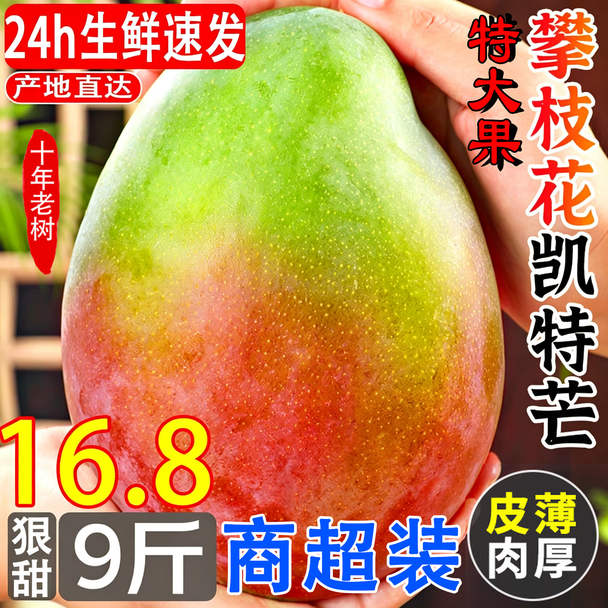 【官方力荐】正宗攀枝花凯特芒果