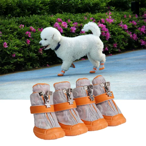 2203 Обувь Biens